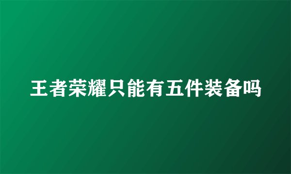 王者荣耀只能有五件装备吗