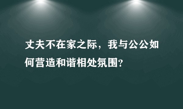 丈夫不在家之际，我与公公如何营造和谐相处氛围？