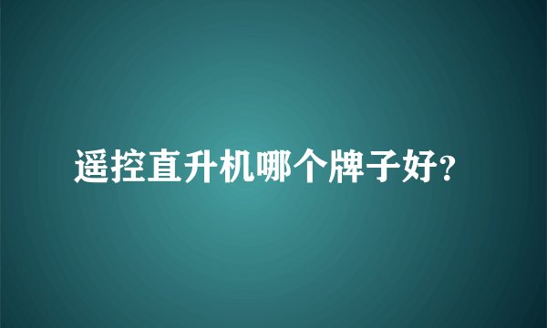 遥控直升机哪个牌子好？