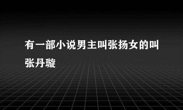 有一部小说男主叫张扬女的叫张丹璇