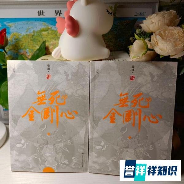 《无死的金刚心》丨一场心灵的穿越之旅，寻找生命的真谛