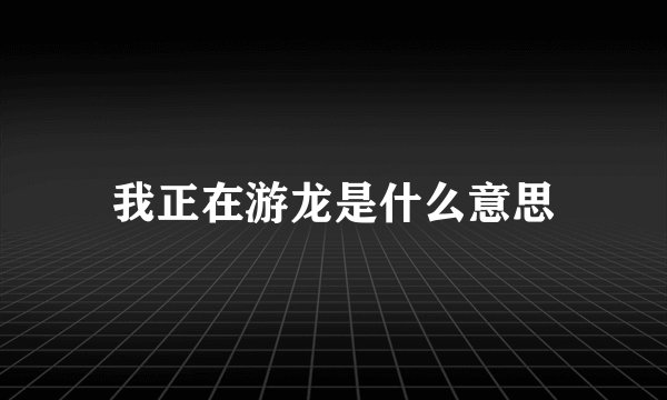 我正在游龙是什么意思