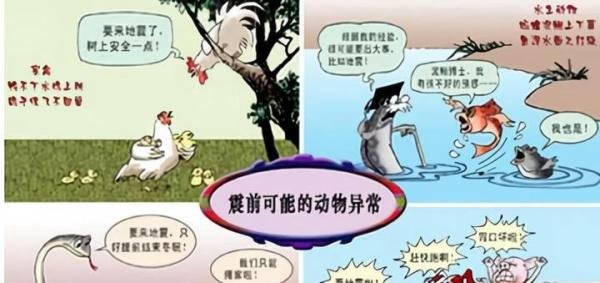 不祥之兆?长春一医院楼顶现飞鸟聚集盘旋,网友调侃:大能降世?