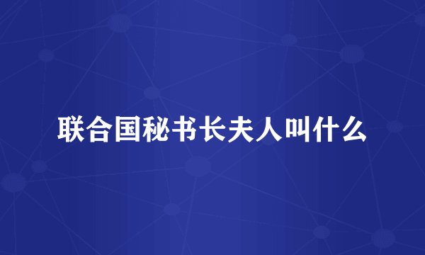联合国秘书长夫人叫什么