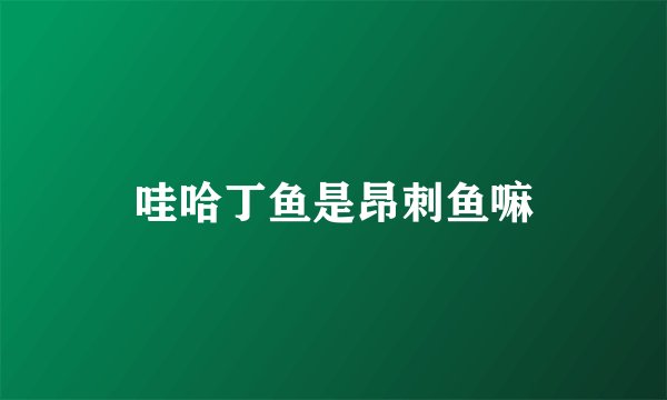 哇哈丁鱼是昂刺鱼嘛
