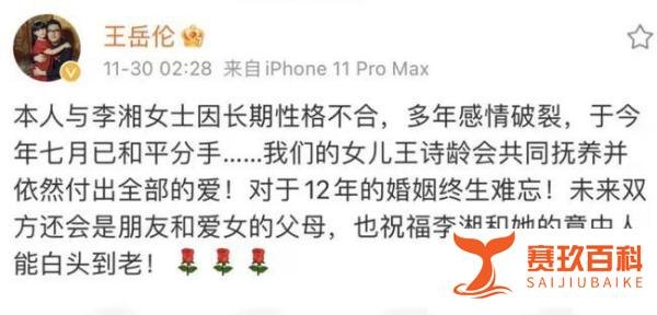 王岳伦与李湘名下26家企业被注销，超1.6亿注册资本飞灰烟灭？