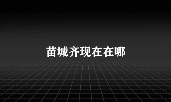 苗城齐现在在哪
