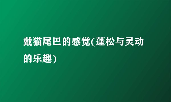 戴猫尾巴的感觉(蓬松与灵动的乐趣)