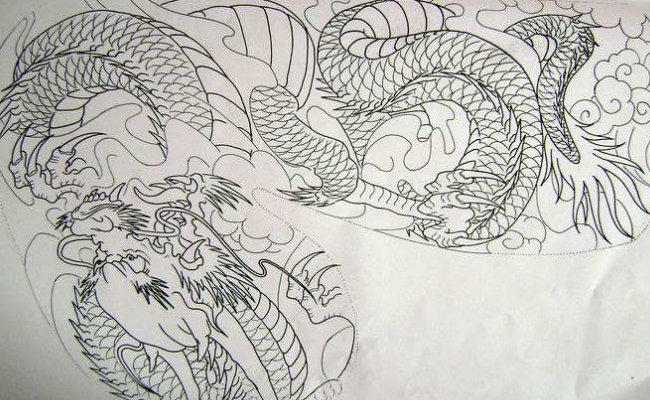 过肩龙与披肩龙有什么区别?