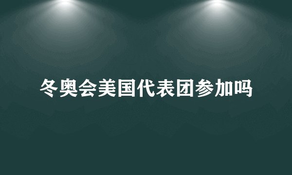 冬奥会美国代表团参加吗