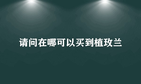 请问在哪可以买到植玫兰