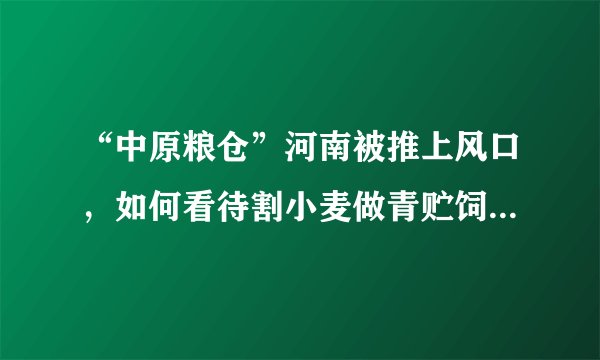 “中原粮仓”河南被推上风口,如何看待割小麦做青贮饲料的现象?