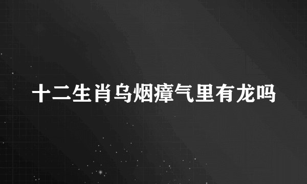 十二生肖乌烟瘴气里有龙吗