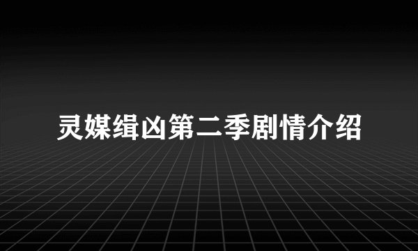 灵媒缉凶第二季剧情介绍
