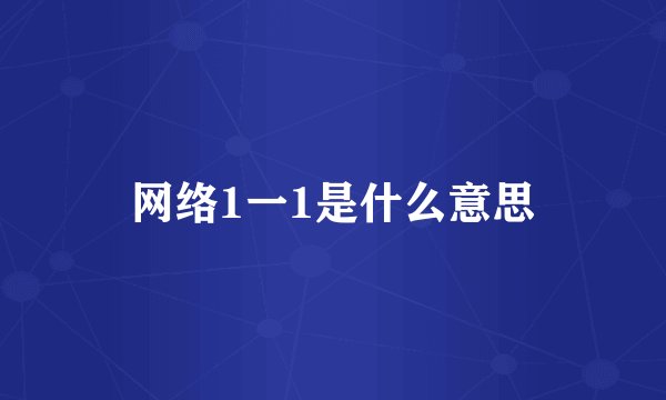 网络1一1是什么意思