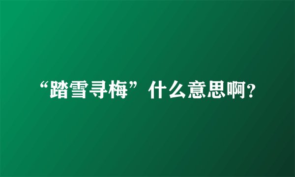 “踏雪寻梅”什么意思啊？