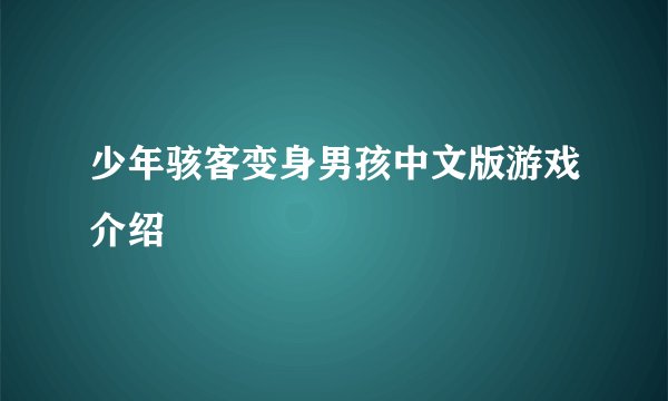 少年骇客变身男孩中文版游戏介绍