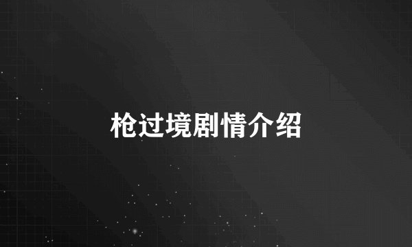枪过境剧情介绍