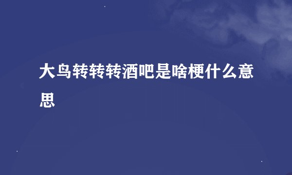大鸟转转转酒吧是啥梗什么意思