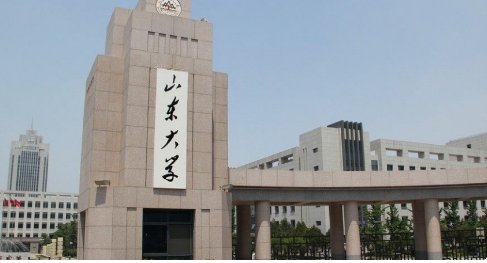 山东大学Y001指什么