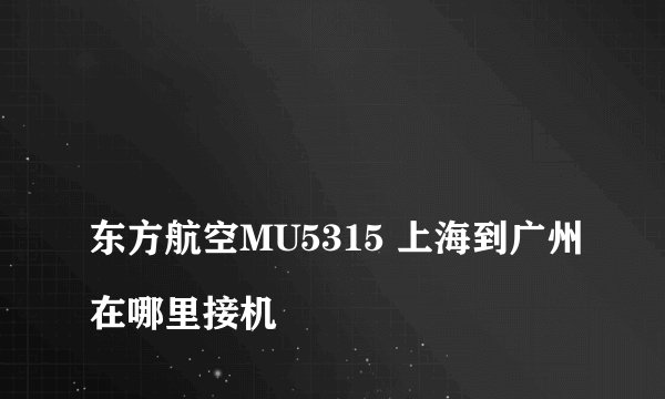 
东方航空MU5315 上海到广州在哪里接机

