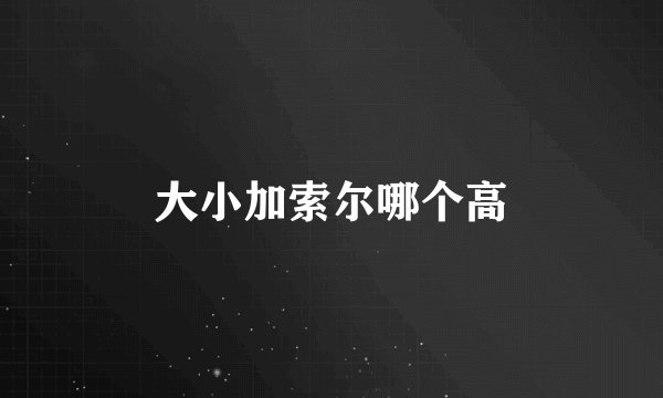 大小加索尔哪个高