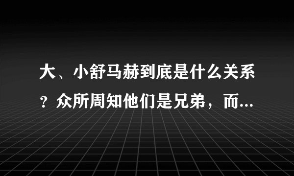 大、小舒马赫到底是什么关系？众所周知他们是兄弟，而且是亲兄弟。可