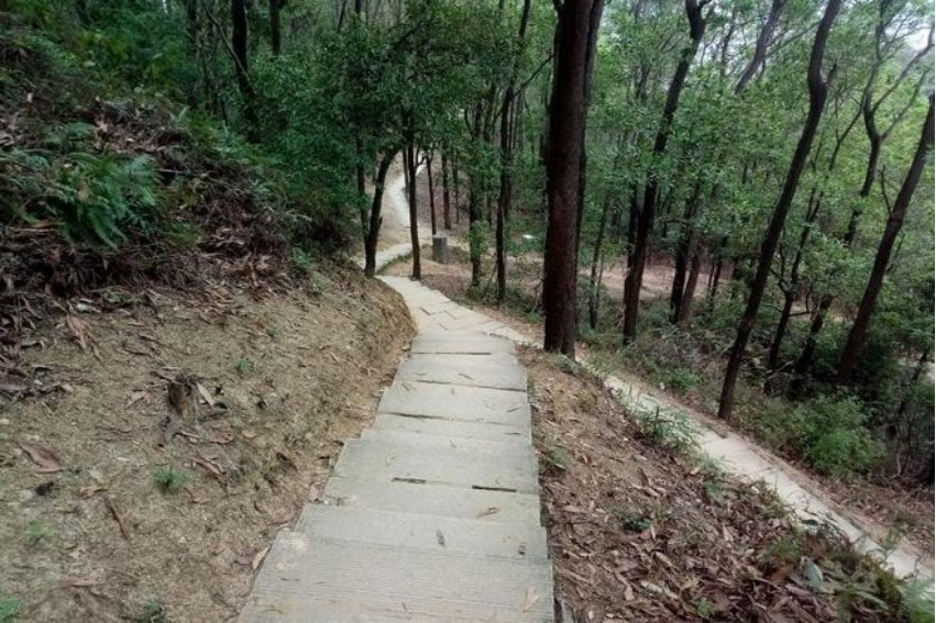 上去是词语吗