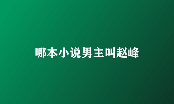 哪本小说男主叫赵峰