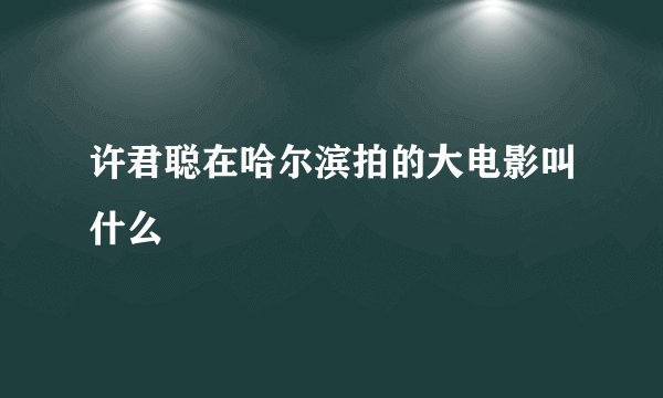 许君聪在哈尔滨拍的大电影叫什么