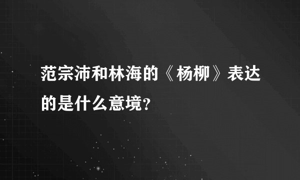 范宗沛和林海的《杨柳》表达的是什么意境？