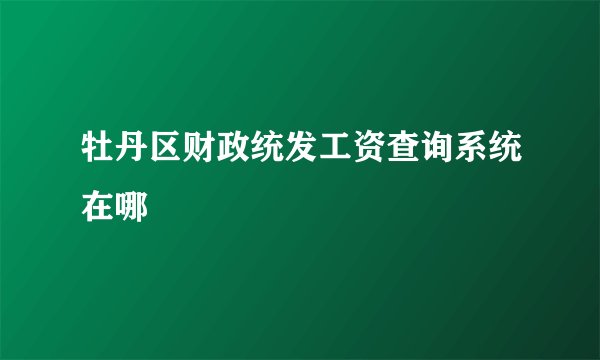 牡丹区财政统发工资查询系统在哪