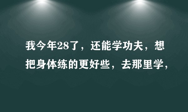 我今年28了，还能学功夫，想把身体练的更好些，去那里学，