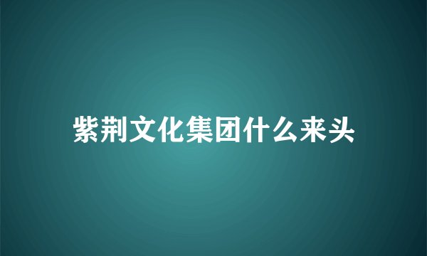 紫荆文化集团什么来头