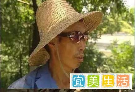 《谭谈交通》全网下架 谭sir恐将面临牢狱之灾