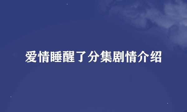 爱情睡醒了分集剧情介绍