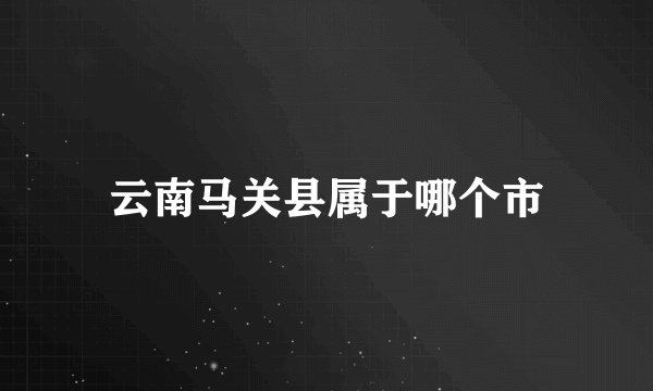 云南马关县属于哪个市