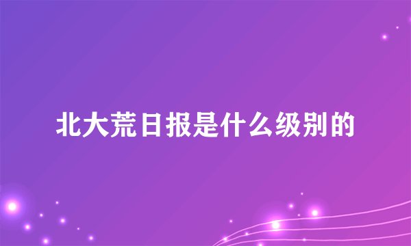 北大荒日报是什么级别的