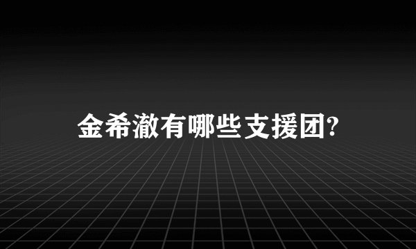 金希澈有哪些支援团?