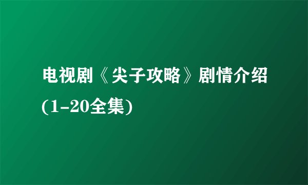 电视剧《尖子攻略》剧情介绍(1-20全集)
