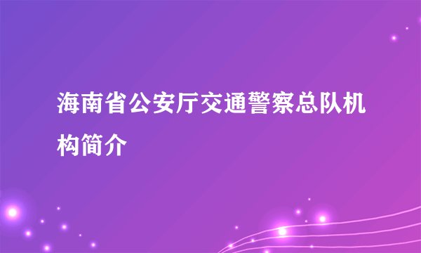 海南省公安厅交通警察总队机构简介