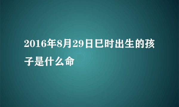 2016年8月29日巳时出生的孩子是什么命
