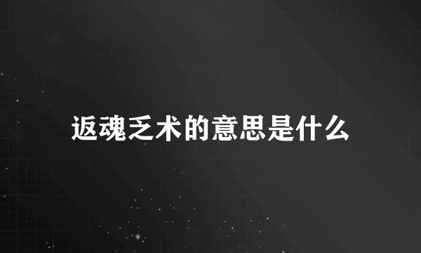 返魂乏术的意思是什么