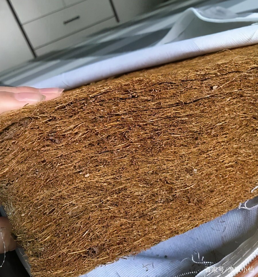 市面上销售的硬胶水棕垫,它含有甲醛吗?