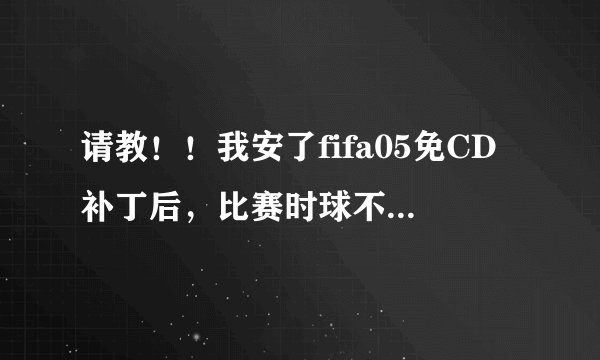 请教!!我安了fifa05免CD补丁后,比赛时球不见了,为什么,?