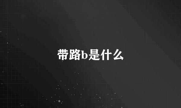 带路b是什么