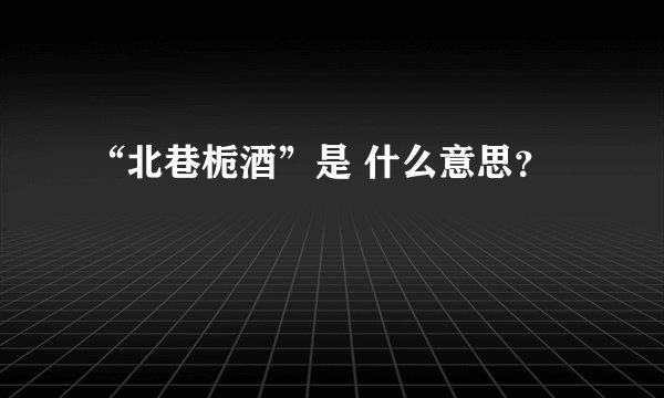 “北巷栀酒”是 什么意思？