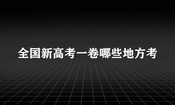 全国新高考一卷哪些地方考
