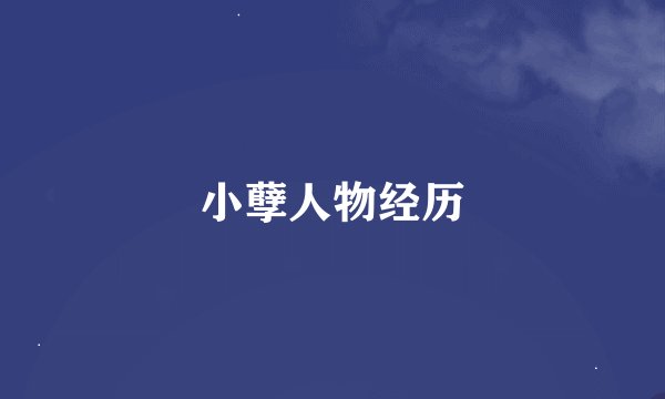 小孽人物经历