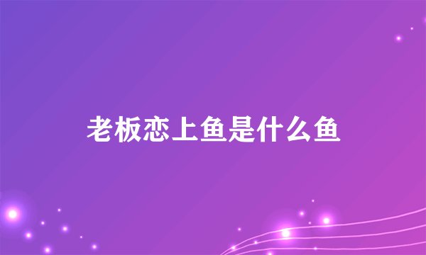 老板恋上鱼是什么鱼